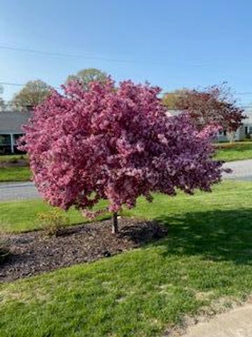 21 Brae Burn Lane, South Yarmouth, MA 02664