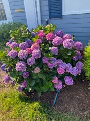 21 Brae Burn Lane, South Yarmouth, MA 02664