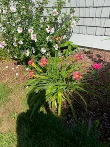 21 Brae Burn Lane, South Yarmouth, MA 02664