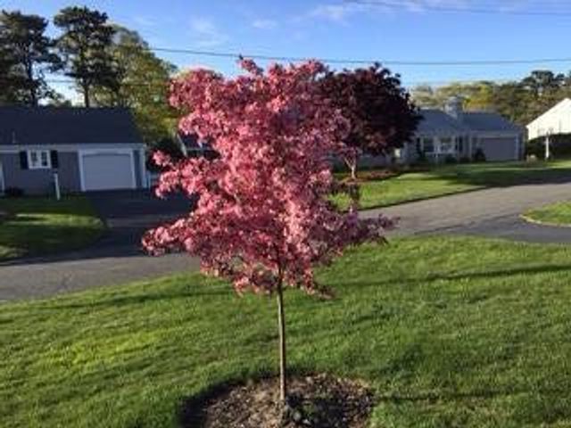 21 Brae Burn Lane, South Yarmouth, MA 02664