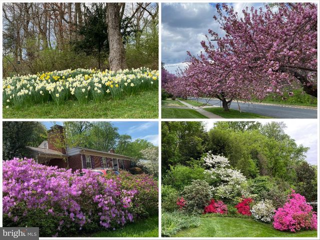 8200 BEECH TREE RD, Bethesda, MD 20817