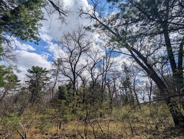 3771 S Walnut Avenue, White Cloud, MI 49349