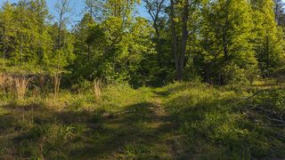 Lot 1 Shortcut DR, Woolwine, VA 24185