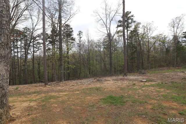 10562 Scarlet Ridge Drive, Potosi, MO 63664