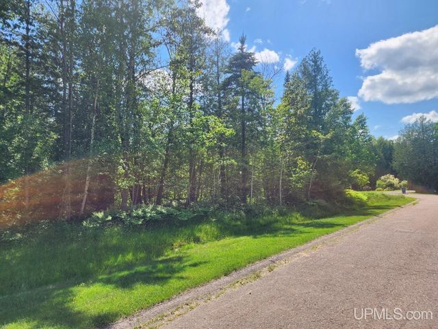 1005 Eleventh Avenue, Houghton, MI 49931