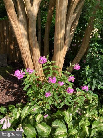 4027 MAPLE ST, Fairfax, VA 22030