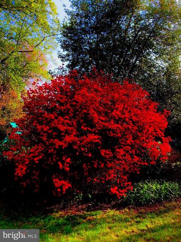 4027 MAPLE ST, Fairfax, VA 22030