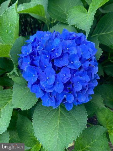 4027 MAPLE ST, Fairfax, VA 22030