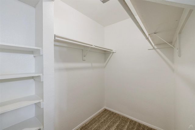 3600 Greystone DR 0834, Austin, TX 78731