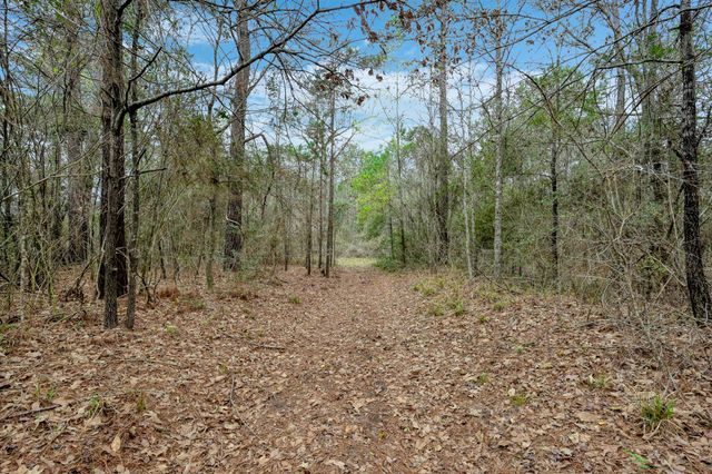 14 Mills Lane, Richards, TX 77873