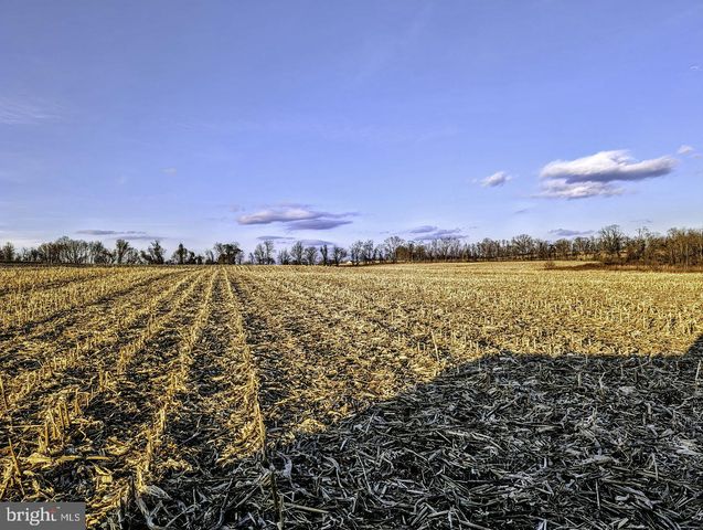 40455 QUARTER BRANCH RD, Lovettsville, VA 20180