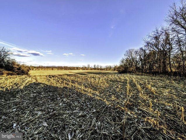 40455 QUARTER BRANCH RD, Lovettsville, VA 20180