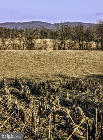 40455 QUARTER BRANCH RD, Lovettsville, VA 20180