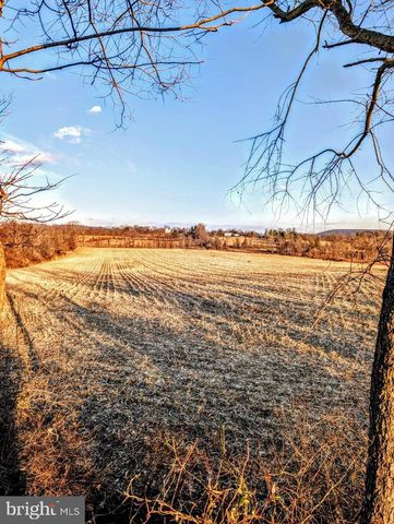 40455 QUARTER BRANCH RD, Lovettsville, VA 20180