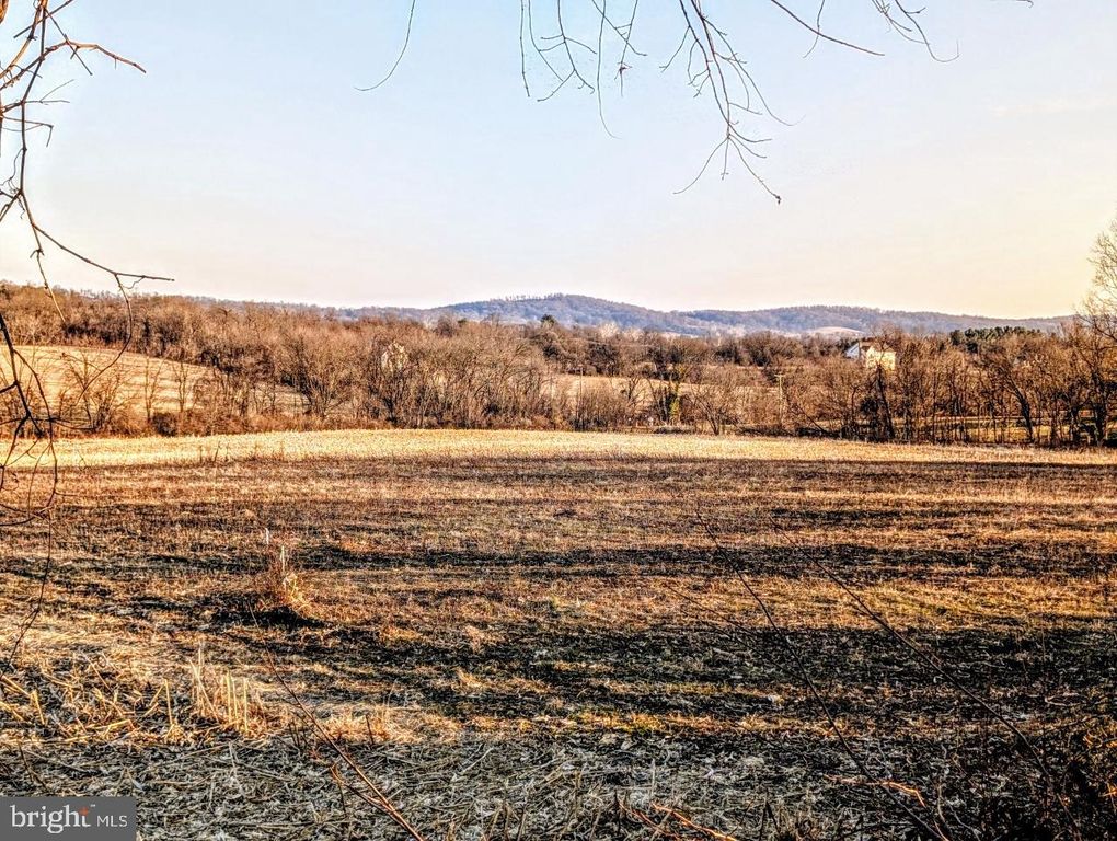 40455 QUARTER BRANCH RD, Lovettsville, VA 20180