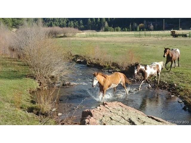 2401 Lakemoor Dr, Florissant, CO 80816