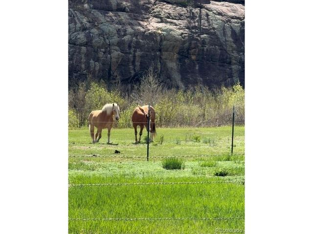 2401 Lakemoor Dr, Florissant, CO 80816