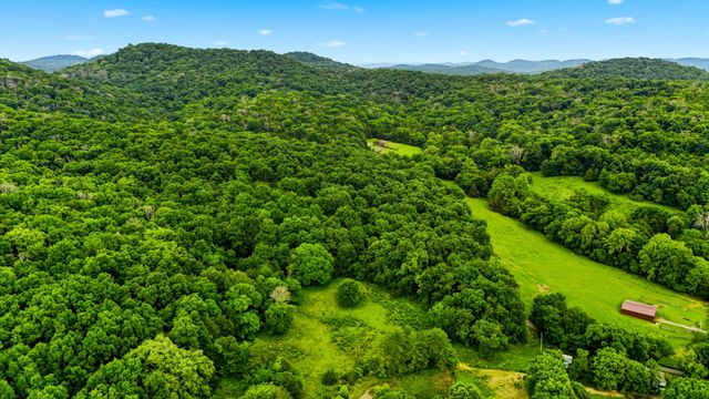 427 Adams Rd, Watertown, TN 37184
