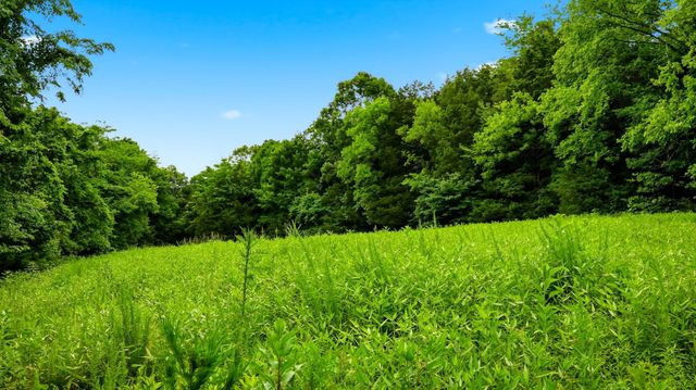 427 Adams Rd, Watertown, TN 37184