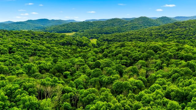 427 Adams Rd, Watertown, TN 37184