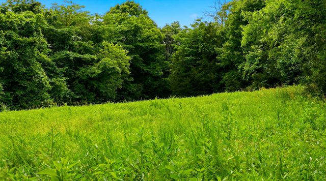 427 Adams Rd, Watertown, TN 37184