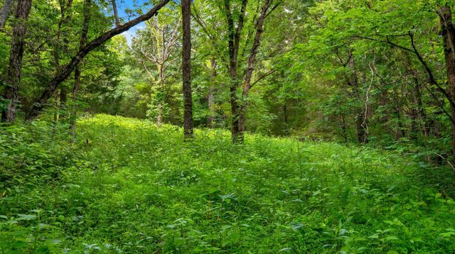 427 Adams Rd, Watertown, TN 37184