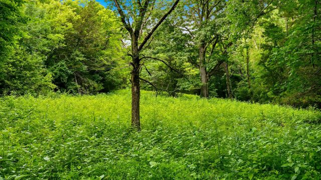 427 Adams Rd, Watertown, TN 37184