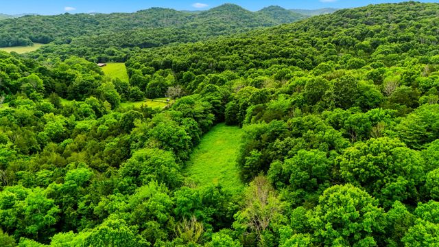427 Adams Rd, Watertown, TN 37184