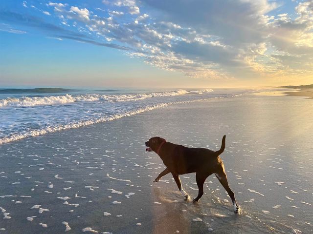 482 Bay Dr., Garden City Beach, SC 29576