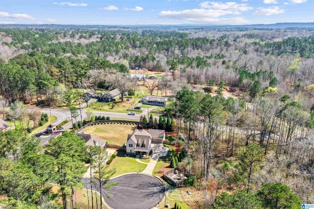 502 WILLOW BRANCH CIRCLE, Chelsea, AL 35043