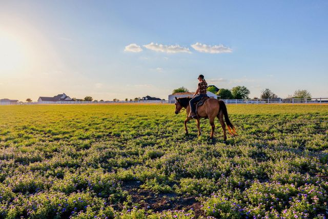 35105 Appaloosa WAY, Georgetown, TX 78626