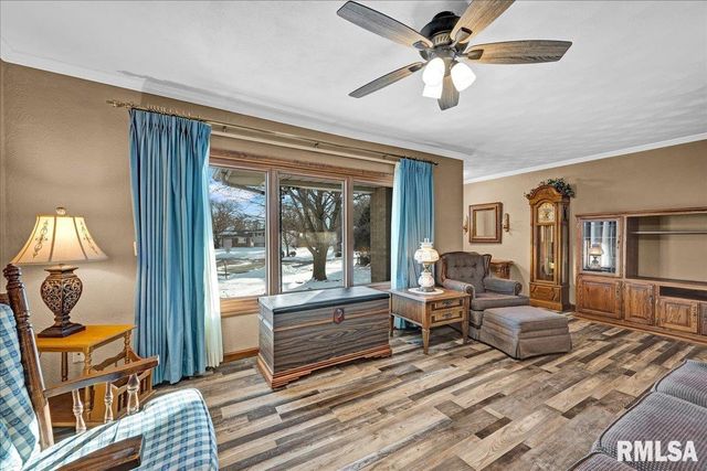 12125 W JO DAN Court, Hanna City, IL 61536