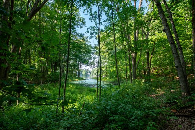 3788 Siebers Lane Ne, Plainfield Twp, MI 49525