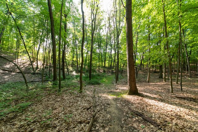 3788 Siebers Lane Ne, Plainfield Twp, MI 49525