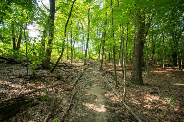 3788 Siebers Lane Ne, Plainfield Twp, MI 49525