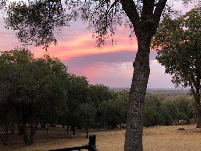 2761 Ponderosa Rd, Shingle Springs, CA 95682