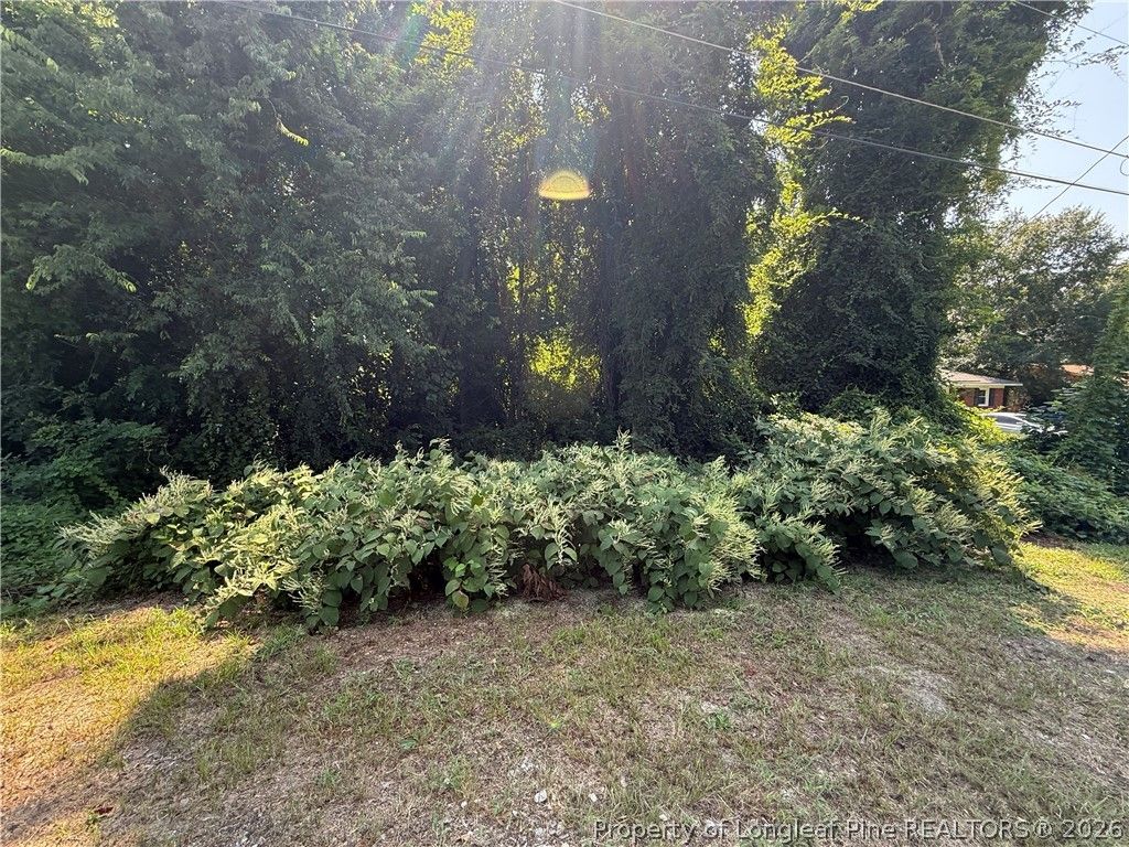 2005 & 2009 Poplar Drive, Fayetteville, NC 28304 — photo 5