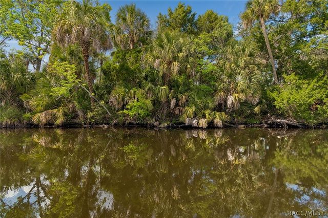 10039 W Halls River Road, Homosassa, FL 34448