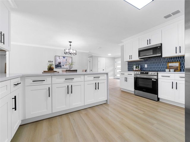 11315 CARROLLWOOD ESTATES DRIVE, Tampa, FL 33618