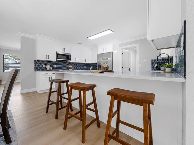 11315 CARROLLWOOD ESTATES DRIVE, Tampa, FL 33618