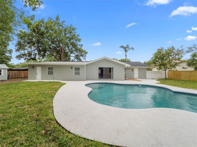 11315 CARROLLWOOD ESTATES DRIVE, Tampa, FL 33618