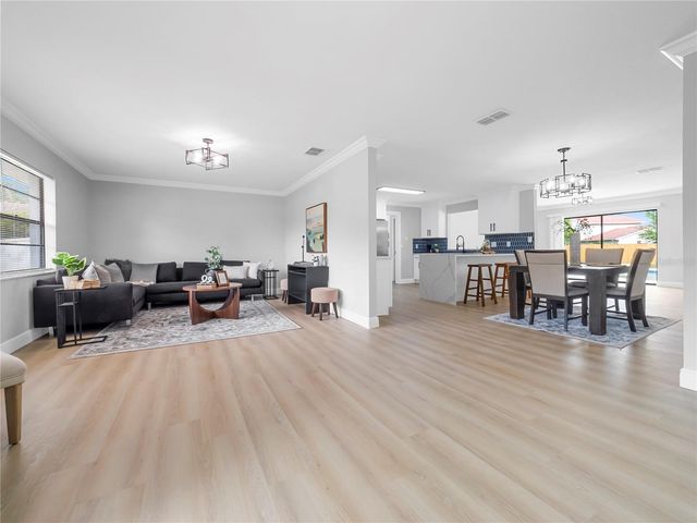 11315 CARROLLWOOD ESTATES DRIVE, Tampa, FL 33618