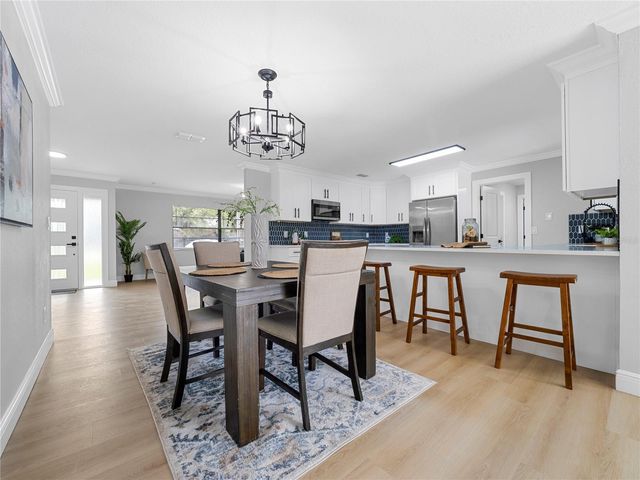 11315 CARROLLWOOD ESTATES DRIVE, Tampa, FL 33618