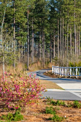283 Ivory Shadow Road, Summerville, SC 29486