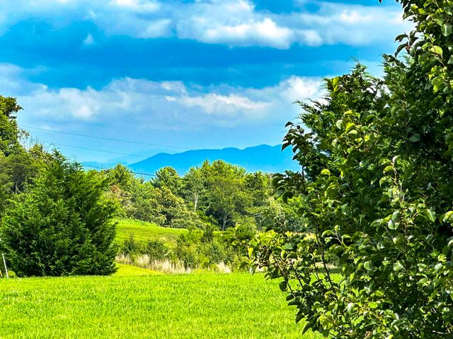 1467 Squire Fox Road, Dandridge, TN 37725