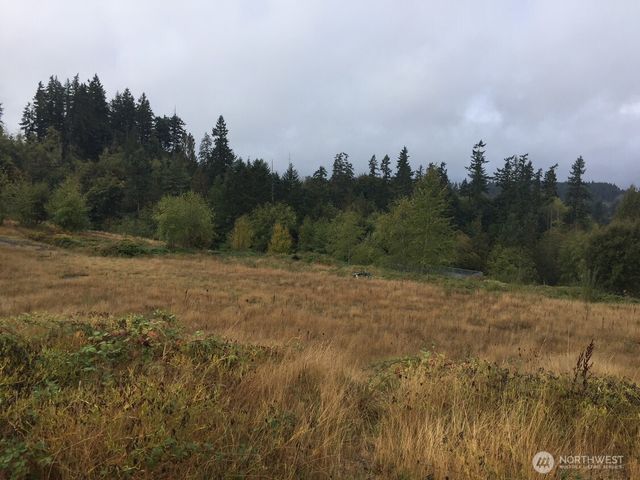 0 Pottery Avenue, Port Orchard, WA 98366