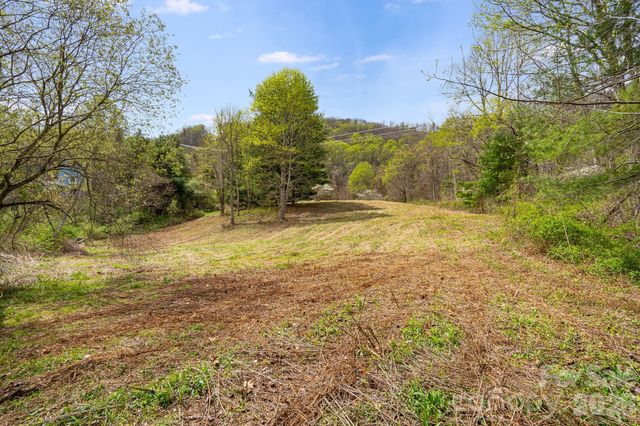 92 Rose Hill Road, Asheville, NC 28803