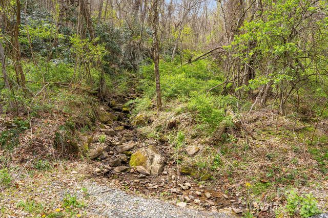 92 Rose Hill Road, Asheville, NC 28803