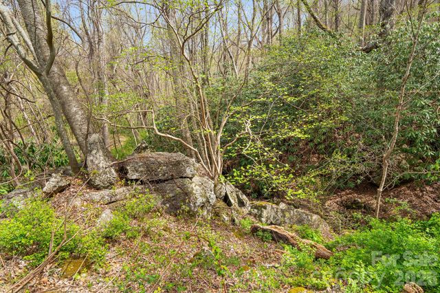 92 Rose Hill Road, Asheville, NC 28803