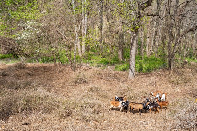 92 Rose Hill Road, Asheville, NC 28803